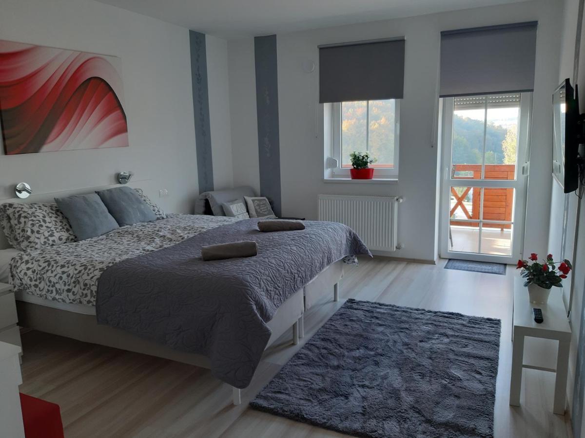 Szalok Spa Apartman إيغيرسولوك المظهر الخارجي الصورة
